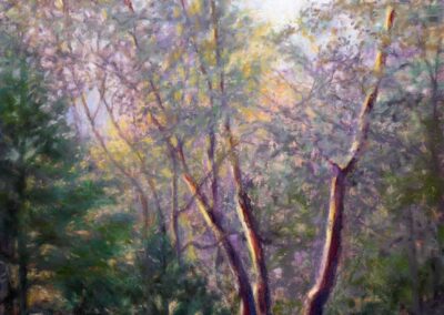 Carla Griffin, Signature MemberMadrones