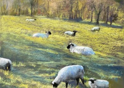 Buckhorn Sheep by Lora Block, pastel accepted into the Spirit of Pastel 2022 show