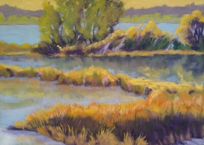 Colors Of Fall by Rosemarie Caffarelli, pastel accepted into the Spirit of Pastel 2022 show