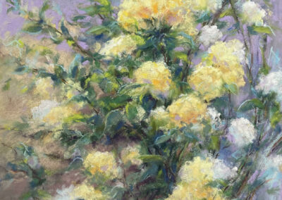 Yellow Vine Rose by Nana Carrillo, pastel accepted into the Spirit of Pastel 2022 show