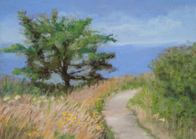 Pathway to the Pacific 2 by Patricia Cook, pastel accepted into the Spirit of Pastel 2022 show