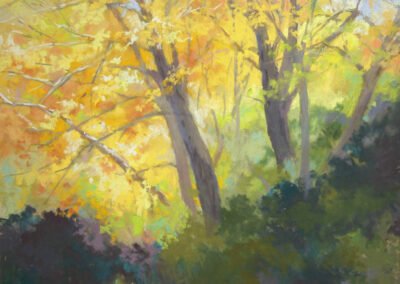 Autumn Just Ahead by Diane Fechenbach, pastel accepted into the Spirit of Pastel 2022 show