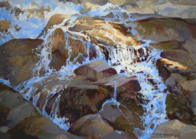 Breaking Away by Diane Fechenbach, pastel accepted into the Spirit of Pastel 2022 show