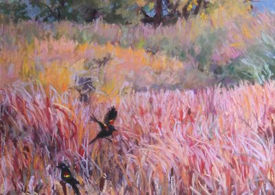 Wetland by Kathryn Fehlig, pastel accepted into the Spirit of Pastel 2022 show