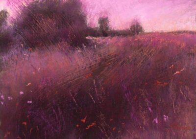 Nature's Web by Randye Jensen, pastel accepted into the Spirit of Pastel 2022 show