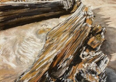 Shipwreck by Janet Johnson, pastel accepted into the Spirit of Pastel 2022 show