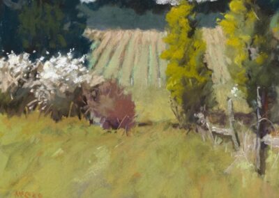 Cardwell Hill by Kate McGee, pastel accepted into the Spirit of Pastel 2022 show
