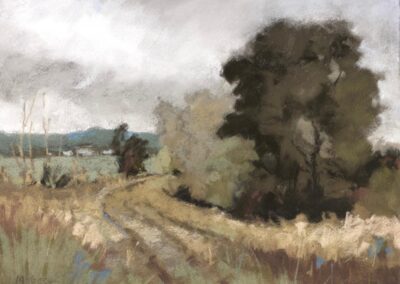 Field Marks by Kate McGee, pastel accepted into the Spirit of Pastel 2022 show