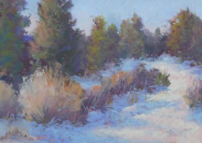 Beauty Of Snow by Nancy Misek, pastel accepted into the Spirit of Pastel 2022 show