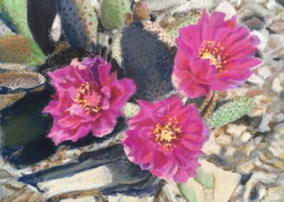 Desert Gardens Beavertail by Julianne Ricksecker, pastel accepted into the Spirit of Pastel 2022 show