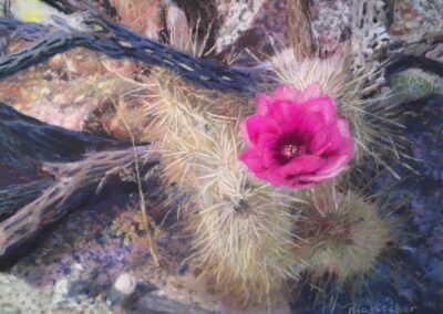 Hedgehog Bloom by Julianne Ricksecker, pastel accepted into the Spirit of Pastel 2022 show