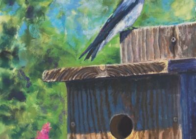 Tree Swallow by Donna Sires, pastel accepted into the Spirit of Pastel 2022 show