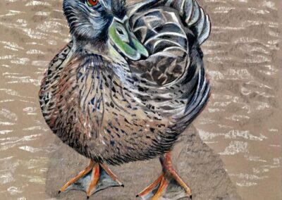 Looking For A Snack by Stephanie Wiarda, pastel accepted into the Spirit of Pastel 2022 show