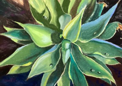 Sun Lover, pastel painting by Betty Stanfill