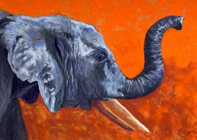 Elephant Song, pastel painting by Debbie Sweeney