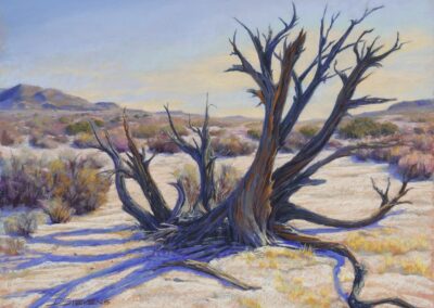 Curio, pastel painting by Donna Stevens