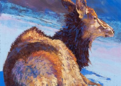 Cow Elk in Snow, pastel painting by Janet Rawlings