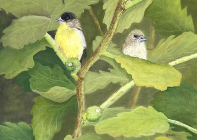 Hide and Seek, pastel painting by Lori Owen