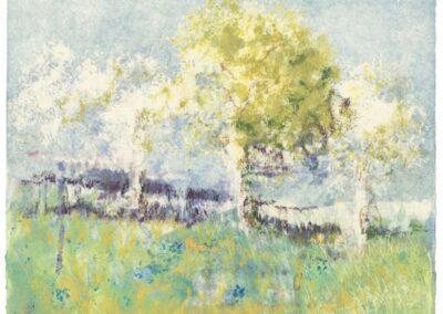 Schmaddie's Oak, pastel by Peter Coons