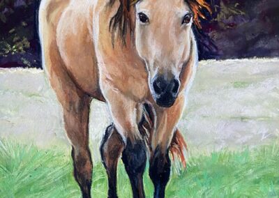Sunny, pastel by Trudy Reynolds