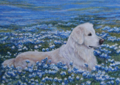 Jack and the Bluebonnets, 16 x 2- soft pastel painting by Janis Ruth Barrett