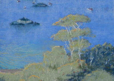 Harbor at Trinidad, CA, 12 x 9 soft pastel painting by Patricia Cook