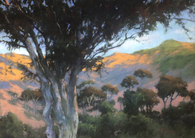 Canyon Dusk, 18 x 24 soft pastel painting by Terri Ford