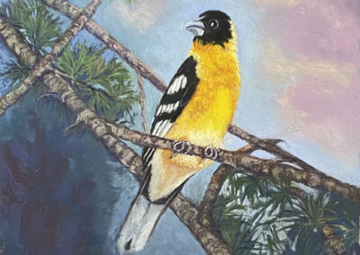 Early Morning Visitor, 9.25 x 9.5 soft pastel painting by Ginny Lieberman