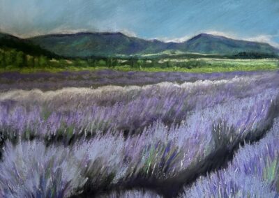 Lovely Lavender, 14 x 14 soft pastel painting by Bonnie McManus