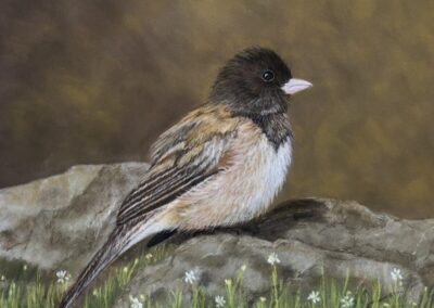 Sitting Quietly, 9 x 11 soft pastel painting by Lori Owen