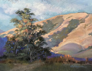 Green Valley Vista, 17 x 22 soft pastel painting by Dug Waggoner