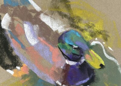 Janice C Carlton Mallard in 100 Strokes Soft Pastel 12 x 12 NFS