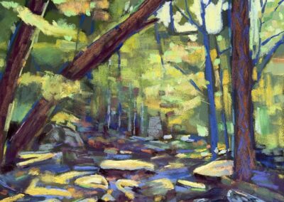 Marti Evans Skylight Soft Pastel 25.50 x 19.75 NFS