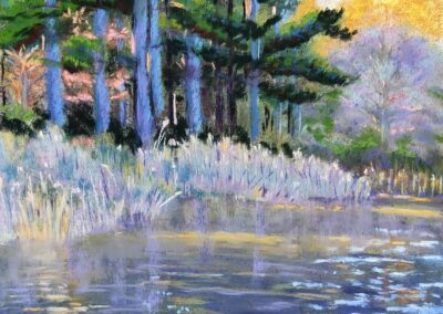 Donna Finley Timeless Beauty Soft Pastel 14 x 11 $450