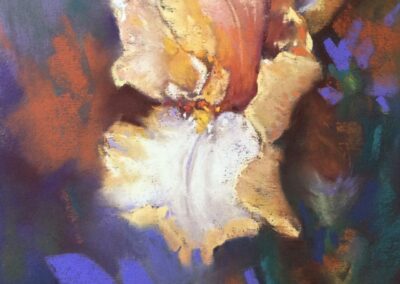 Jan Horn Peaches and cream Pastel 10x8 NFS