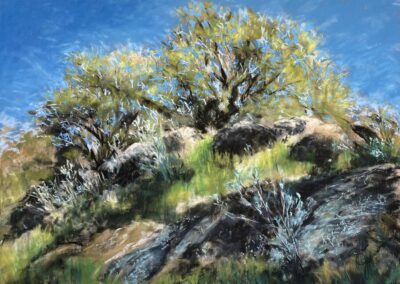 Janet E. Johnson Springing Soft Pastel 18 x 24 NFS