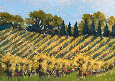 Roe T Murray Villa Vineyard Soft Pastel 12 x 18 NFS