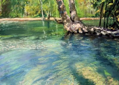 Toby Reid LIGHTS AND SHADOWS Soft Pastel 18 x 12 $1,500