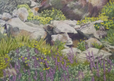Julianne B Ricksecker Coyote Canyon, Lush Spring Soft Pastel 20 x 16 $0