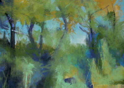 Mary Rinderle Smith Back Acres Soft Pastel 16 x 12 $900