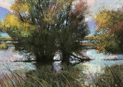 Dug Waggoner Cottonwood Refuge Soft Pastel 20 x 16 NFS