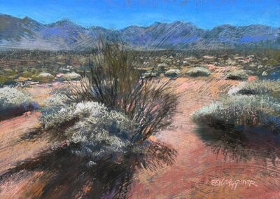 Dug Waggoner, member, Valley of Fire