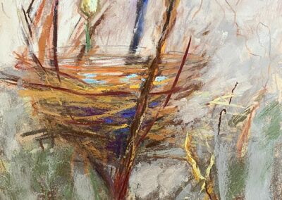 Anne Gee, Member, Life in the Wild