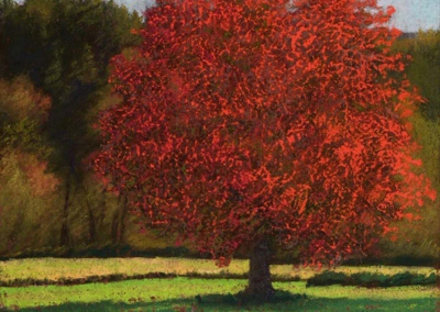 Peggy Braeutigam, Master Pastelist Center Stage 9 x 9