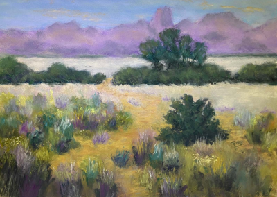 Thomas Frey, Regular Member Gateway to Silver Fields 9 x 12