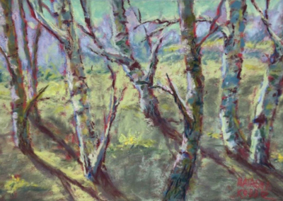 Natasha Kobbe, Regular member Sunny Birch Grove 6 x 9