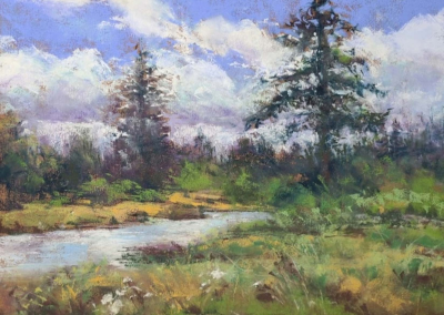 Debbie Robinson, Signature Member Peaceful Nature 9 x 12