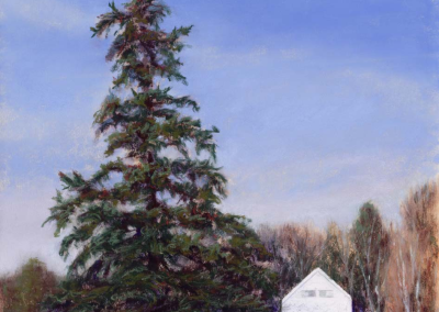 Donna Stevens, Signature Member Rooted 14 x 11