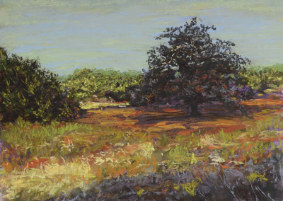 Harley Talkington, Regular Member Seasoned Oak 12 x 16