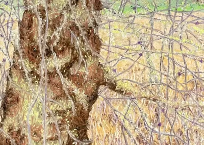 Cranky, by Tim Blackwell